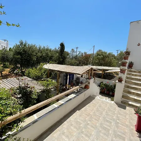 Actis 1 스텔리다