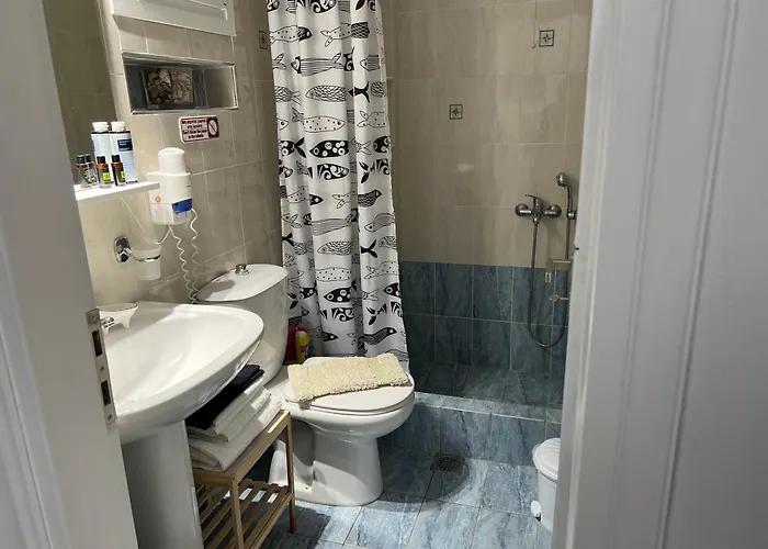 Actis 1 스텔리다